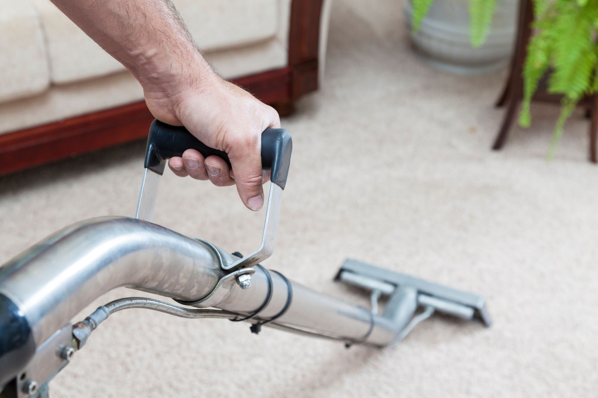 North Vancouver Carpet Cleaning | Busy Boys Professional Cleaning Services